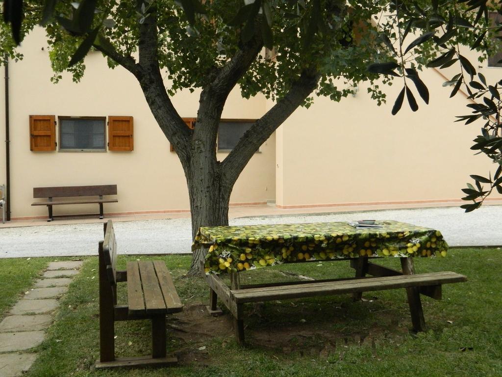 סן וינצ'נזו Podere Santo Signoretto מראה חיצוני תמונה